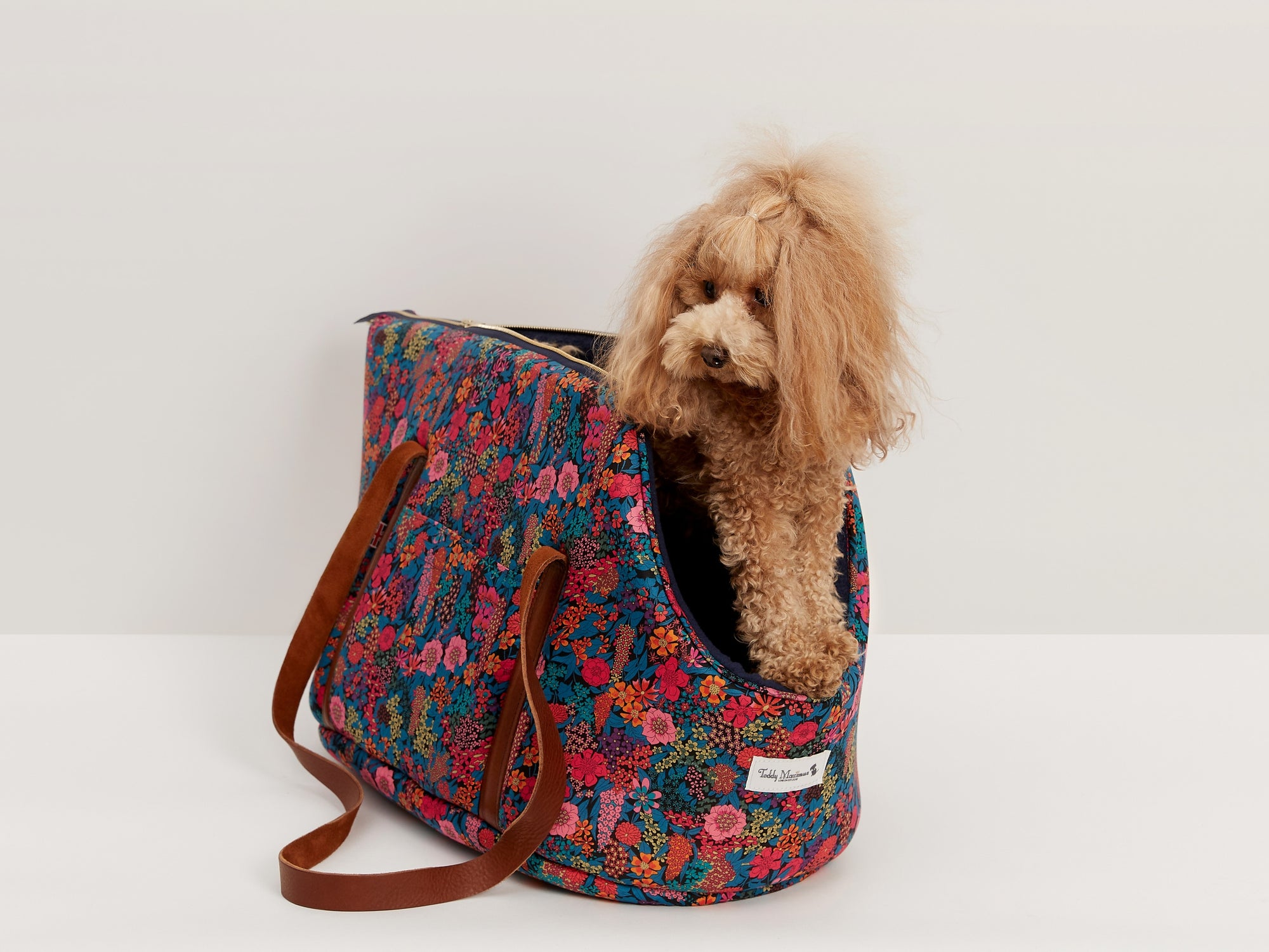 A beautiful Poodle in a Liberty print luxury dog carrier by Teddy Maximus