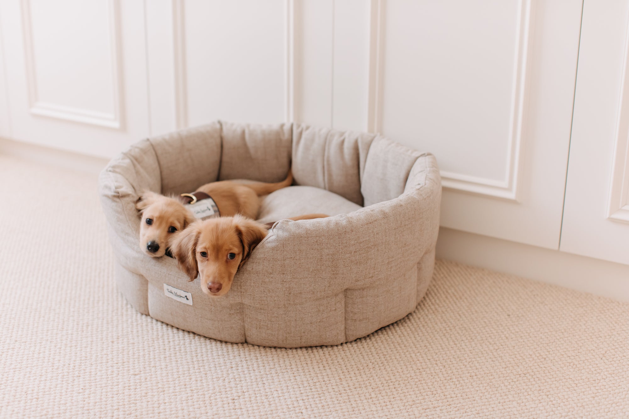 luxury dog bed for small to medium dogs