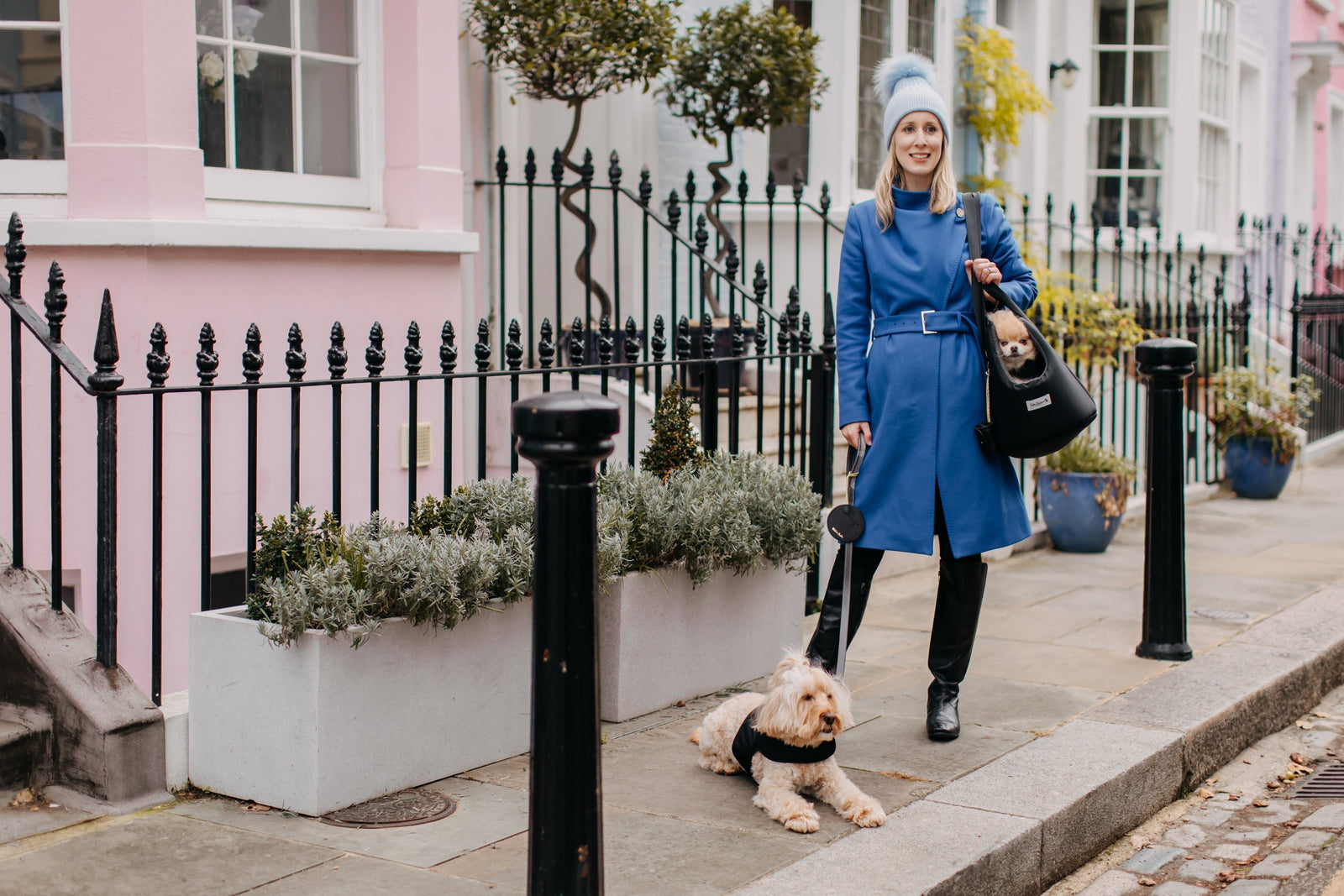 🐾 The Rise of Pet Humanisation: Why Our Pets Are Family — And How Teddy Maximus Celebrates That Bond