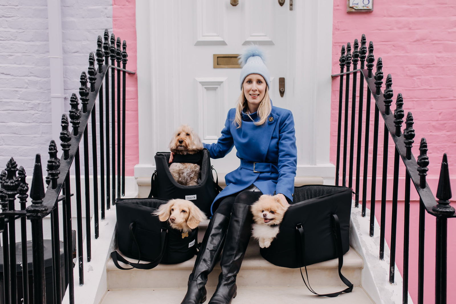 dog carriers - comfort and style for small dogs