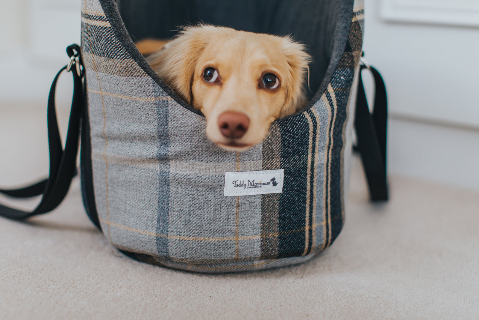 The Belgravia Collection