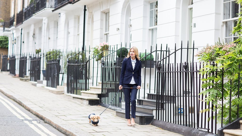 Luxury Dog Leads, Dog Collars & Dog Harnesses for the stylish pooch! 