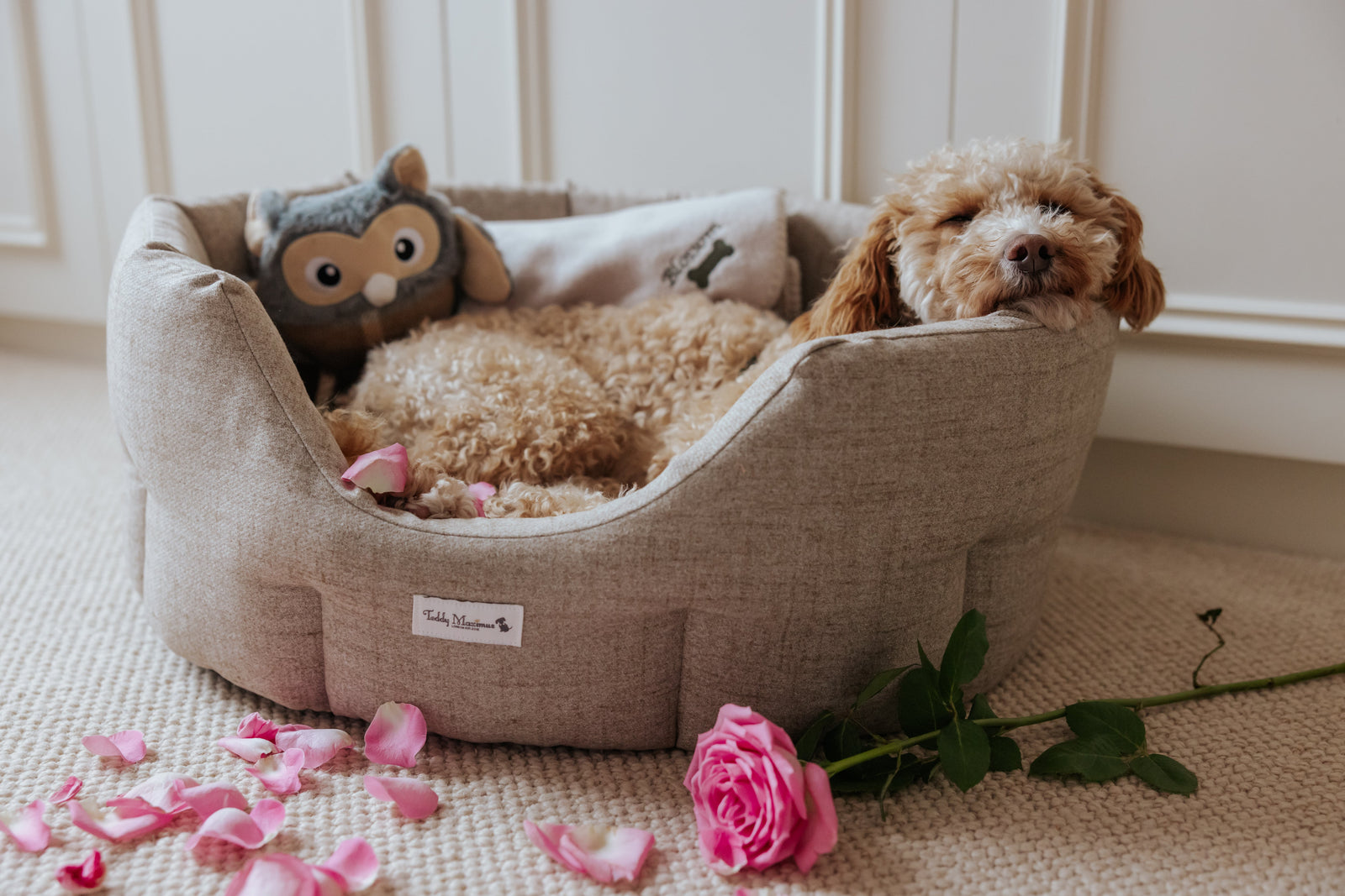 Luxury Dog Beds - Sleep Like A Log!