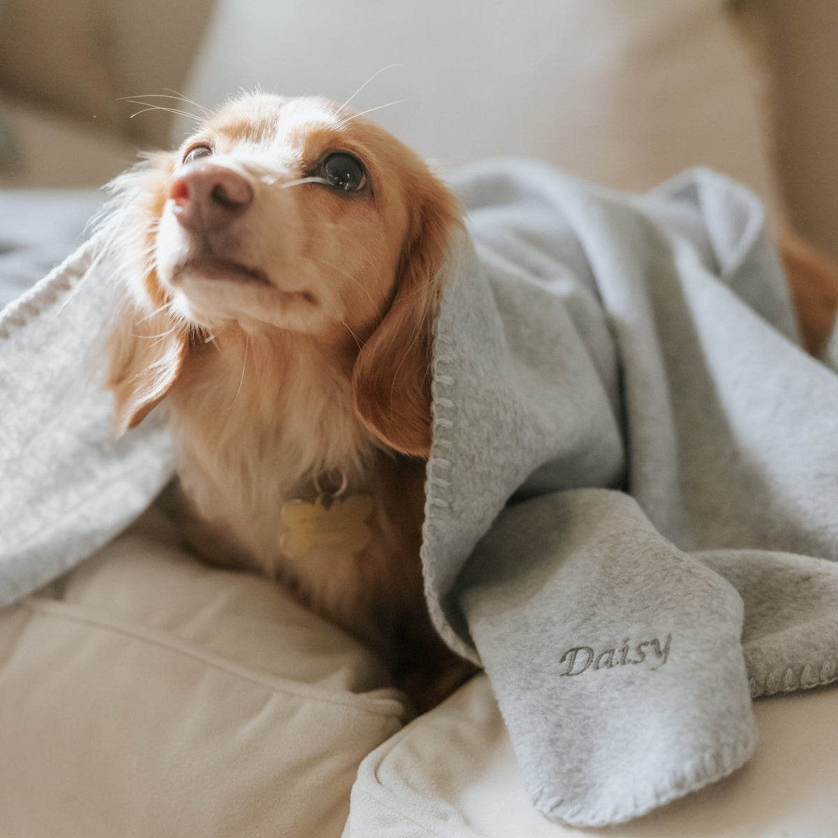 Silver Grey Personalised Fleece Luxury Dog Blanket