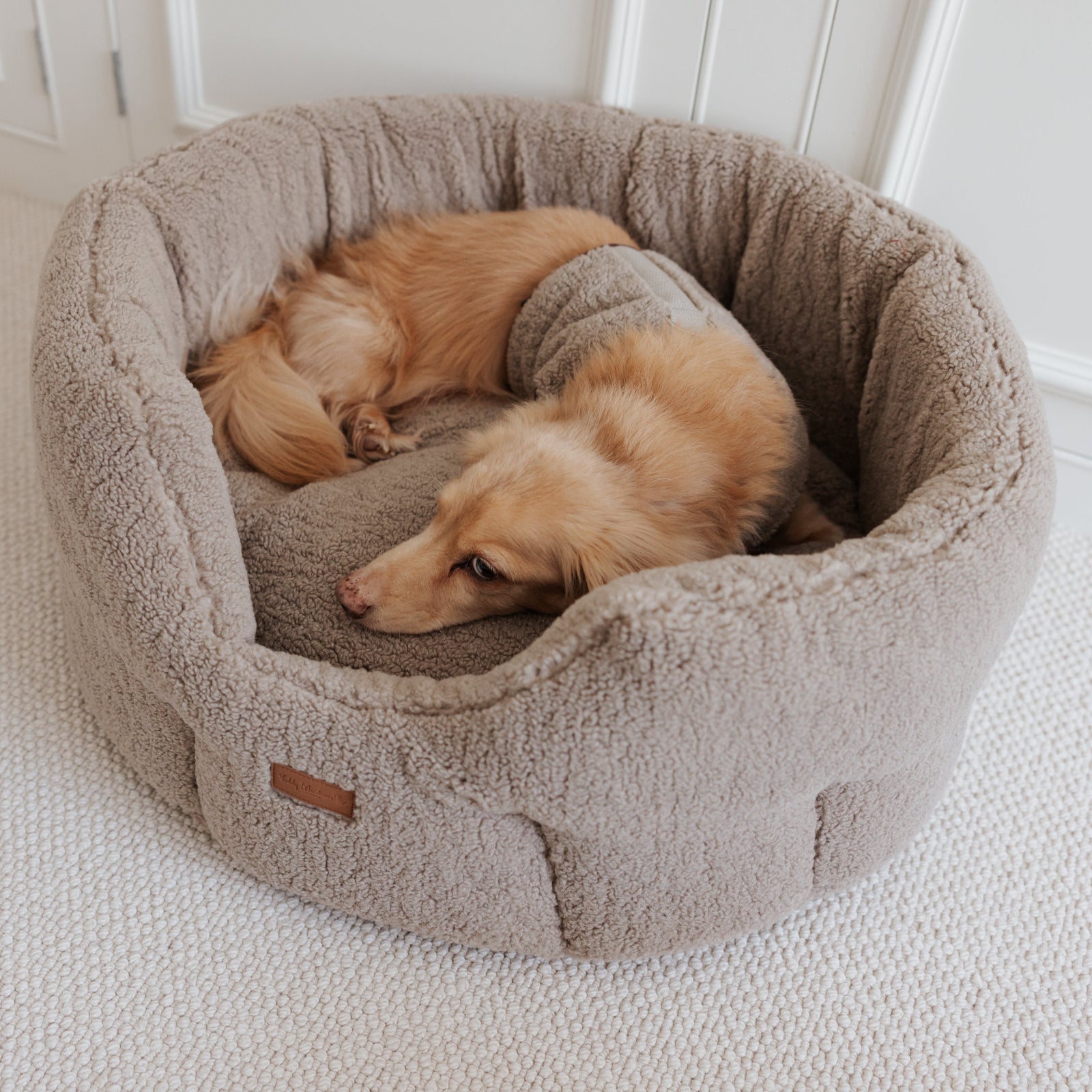 The Teddy Café Latte Sherpa Nest Bed