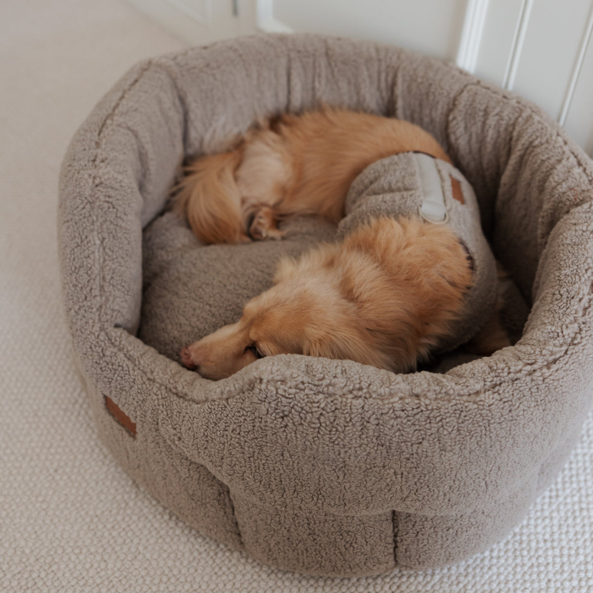 The Teddy Café Latte Sherpa Nest Bed