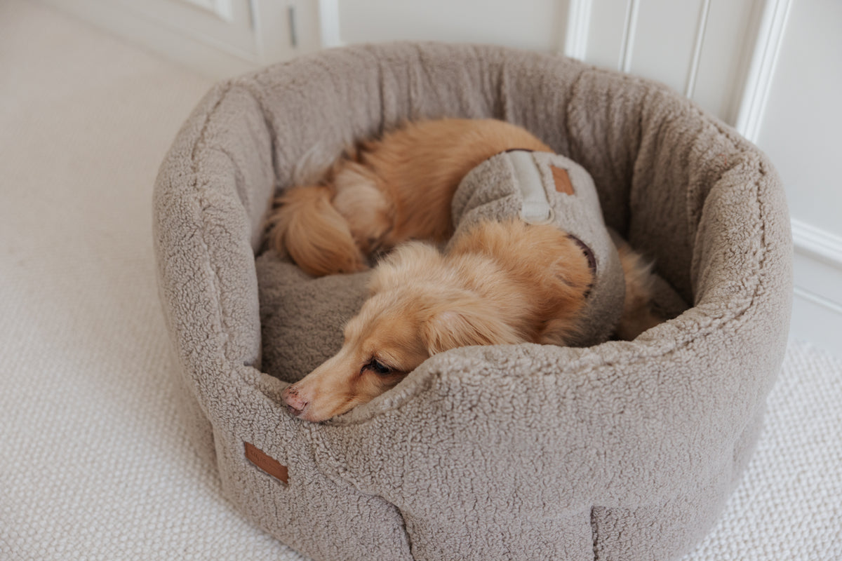 The Teddy Café Latte Sherpa Nest Bed