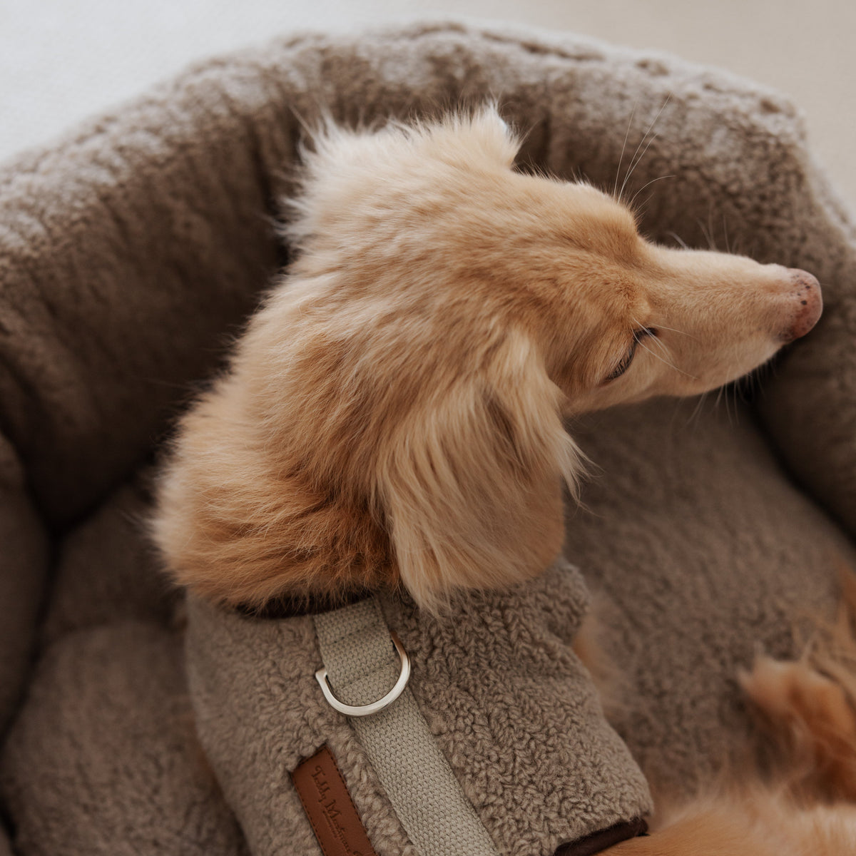 The Teddy Café Latte Sherpa Nest Bed