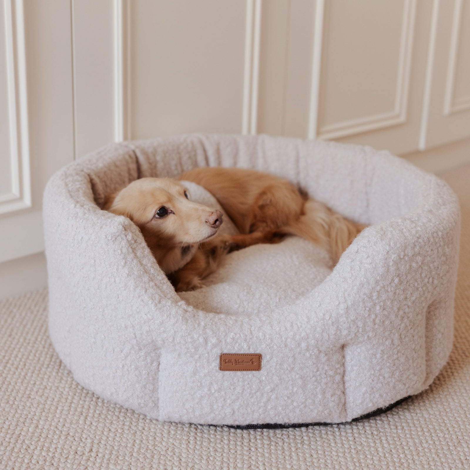 The Teddy Vanilla Latte Bouclé Nest Dog Bed