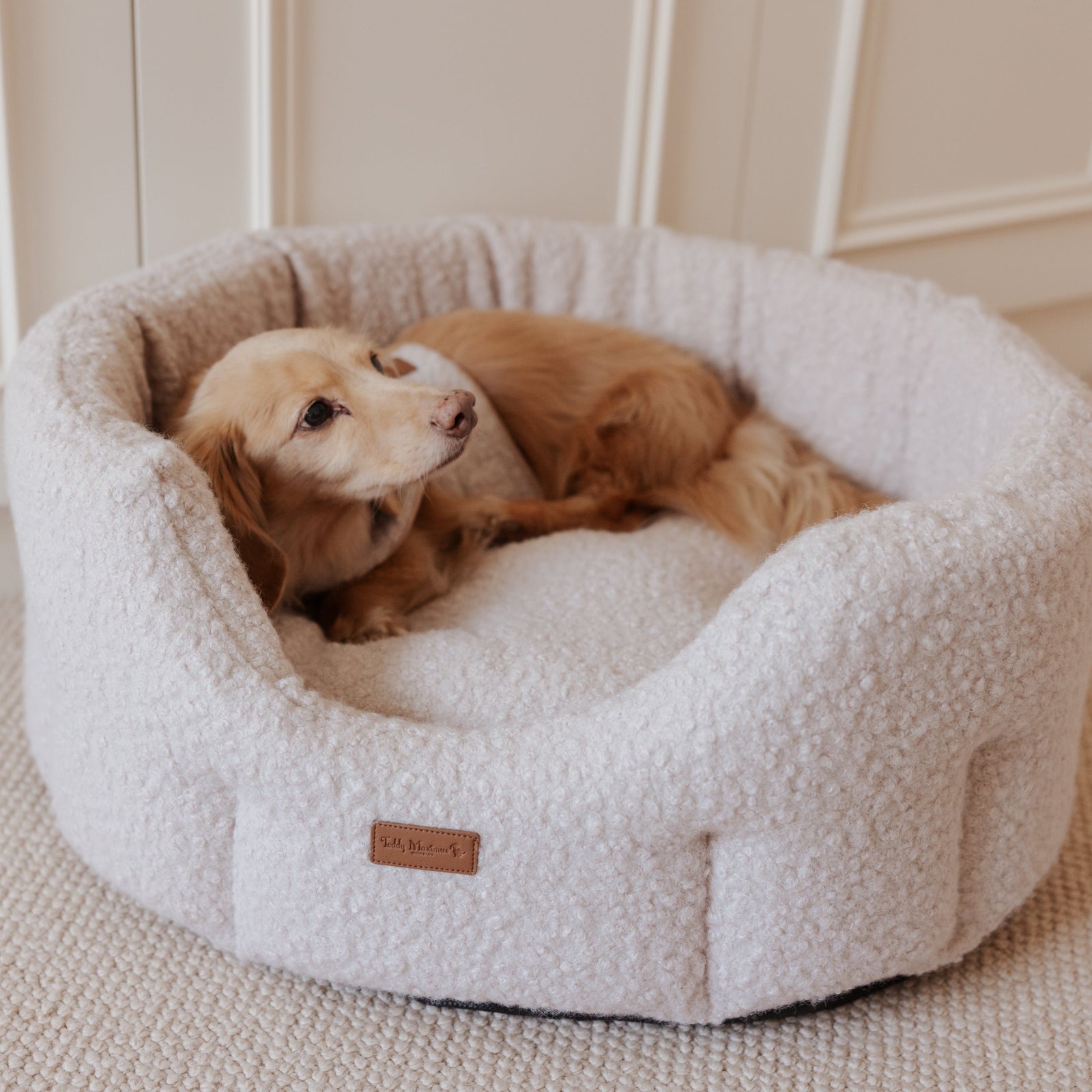 The Teddy Vanilla Latte Bouclé Nest Dog Bed