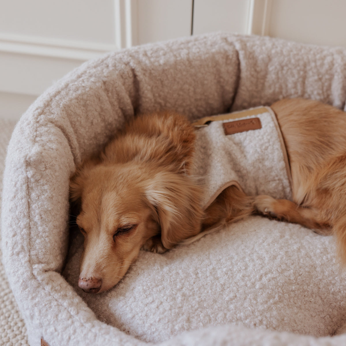The Teddy Vanilla Latte Bouclé Nest Dog Bed
