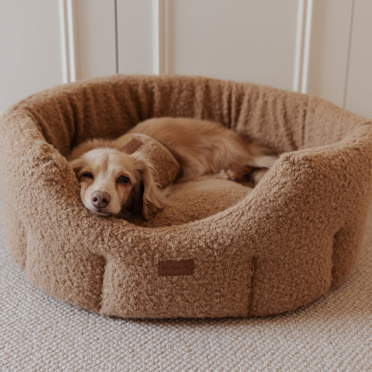 The Teddy Cappuccino Bouclé Nest Dog Bed