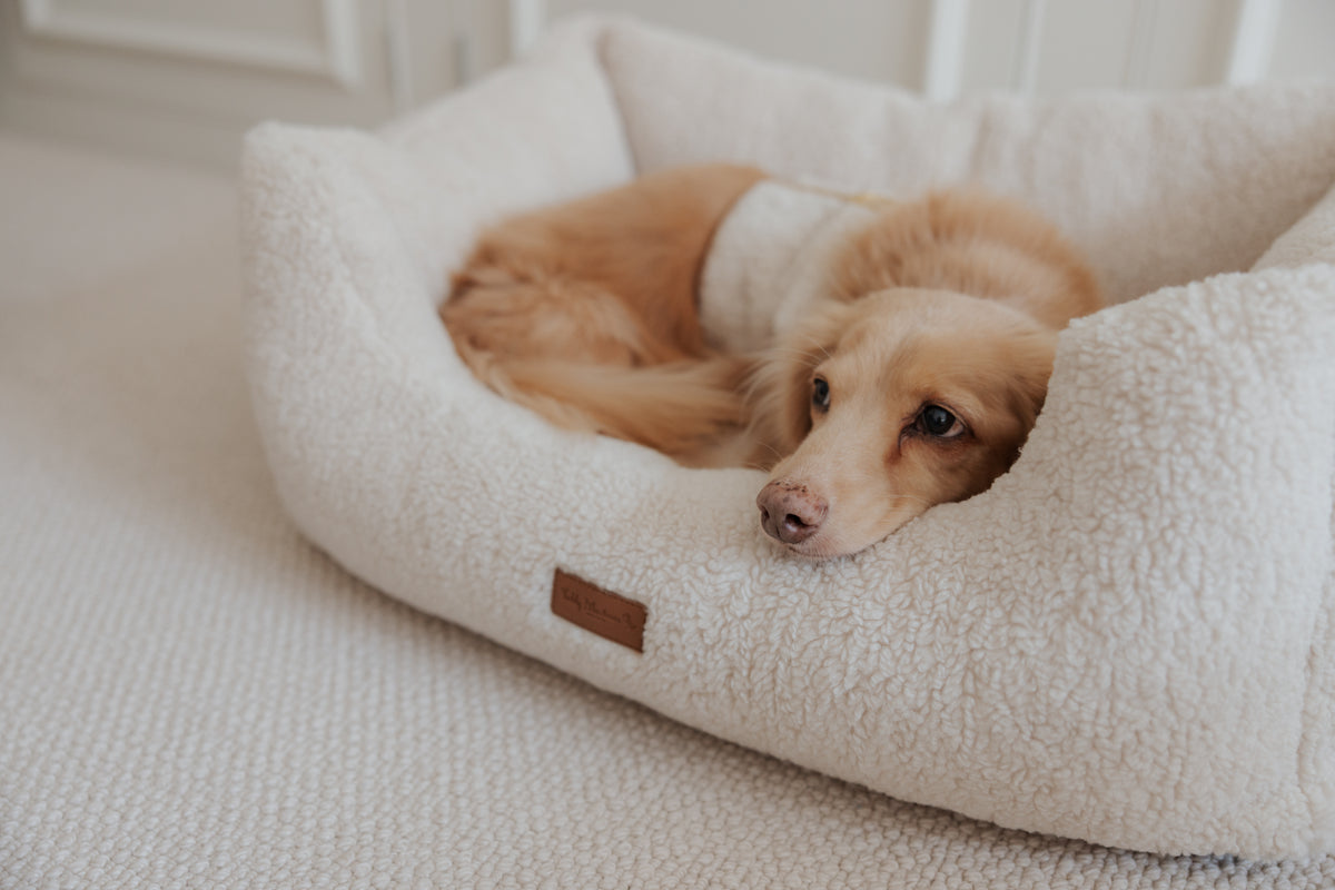 The Teddy Café Cream Sherpa Rectangle Dog Bed