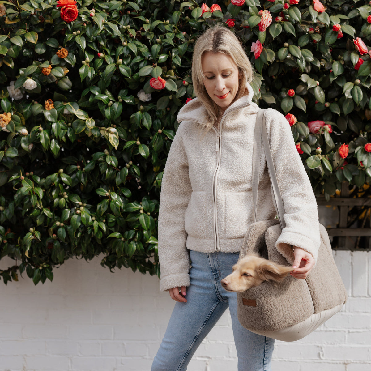 The Teddy Café Latte Sherpa Dog Carrier