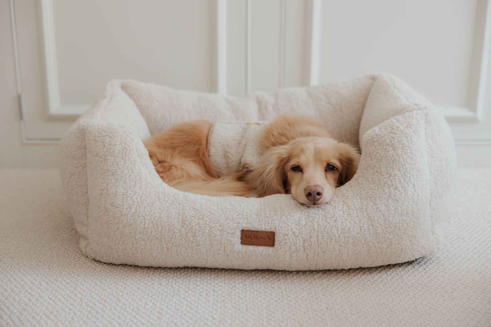 The Teddy Café Cream Sherpa Rectangle Dog Bed
