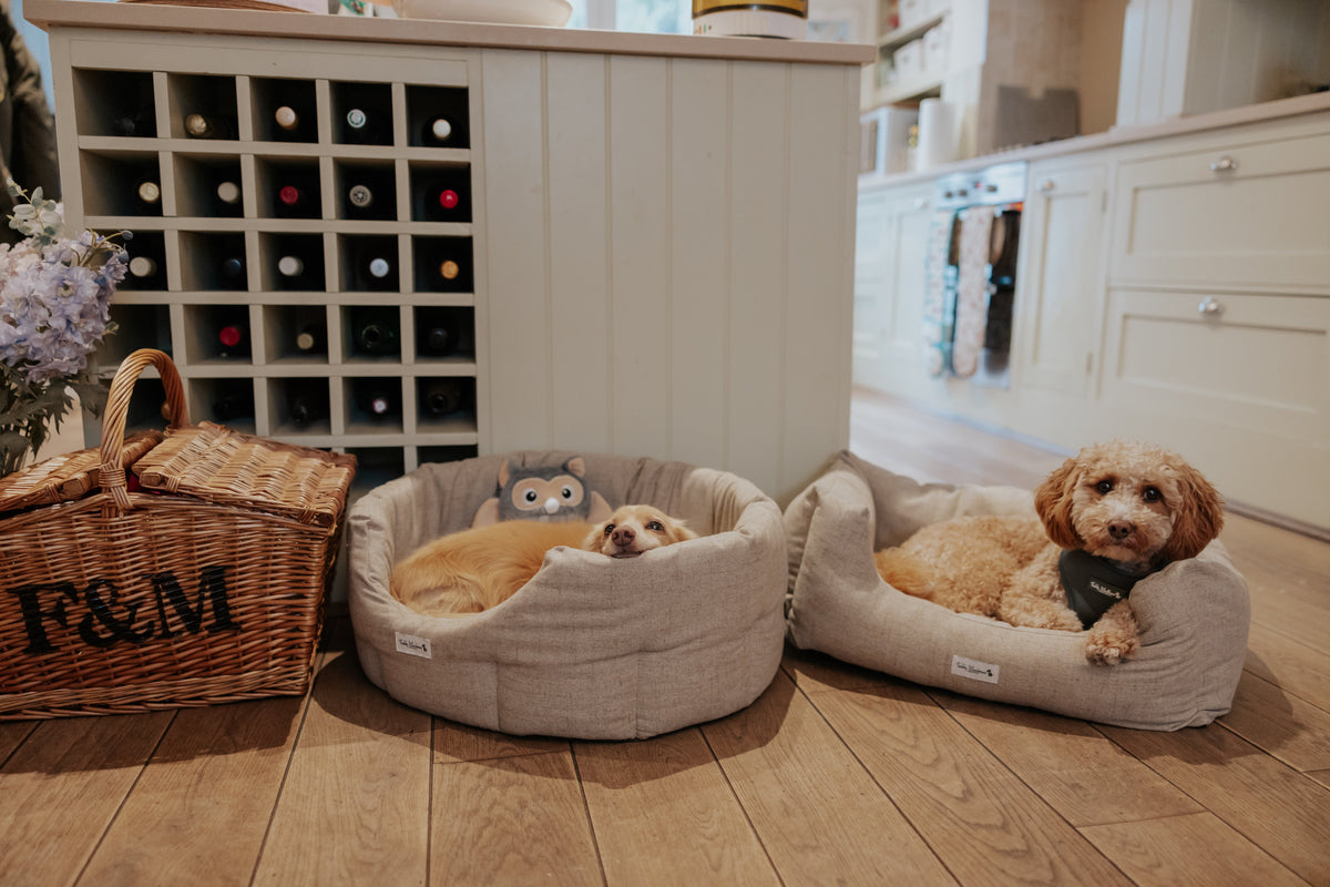 'The Richmond' Deco Nest Luxury Dog Bed