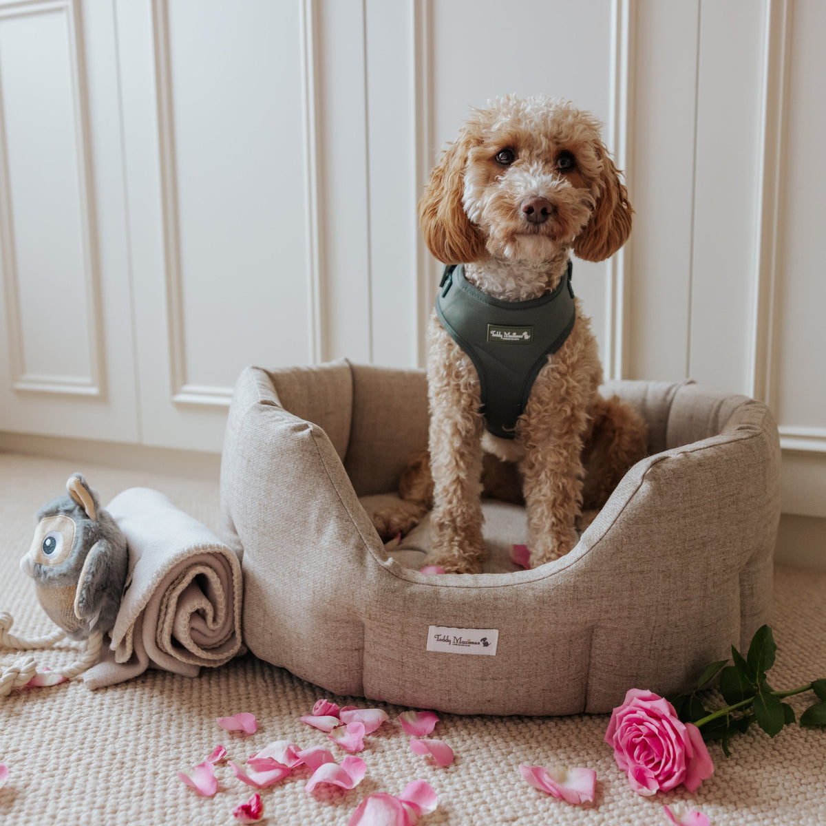 'The Richmond' Deco Nest Luxury Dog Bed