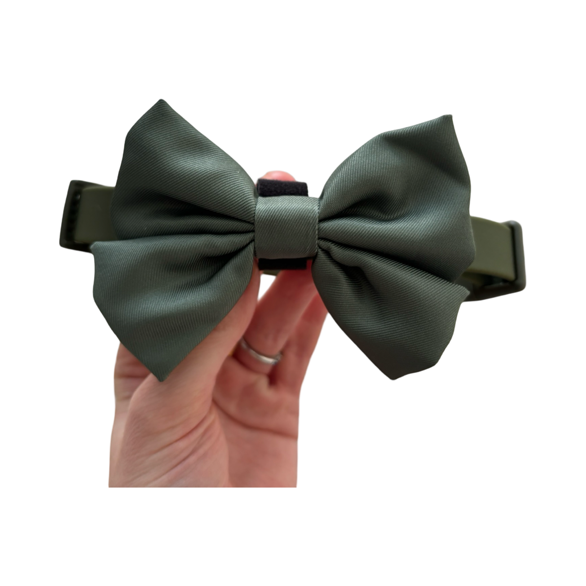 The Explorer NEW! Olive Dog Bow Tie