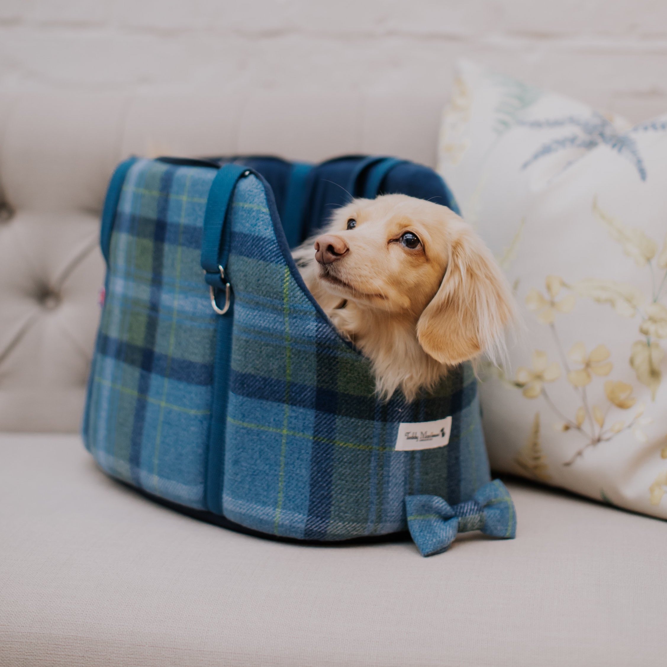 teddy maximus dog carrier