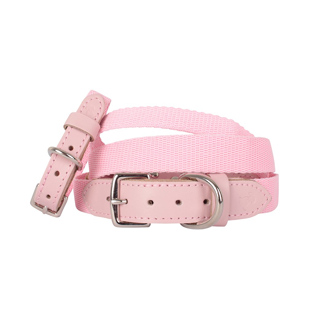 Das rosa Hundehalsband'The Melody' Pink Dog Collar