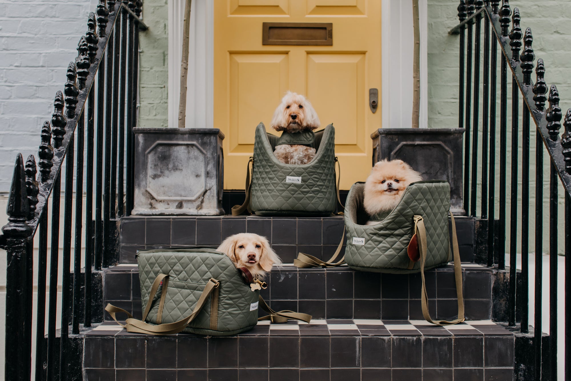 How to Choose the Best Luxury Dog Carrier