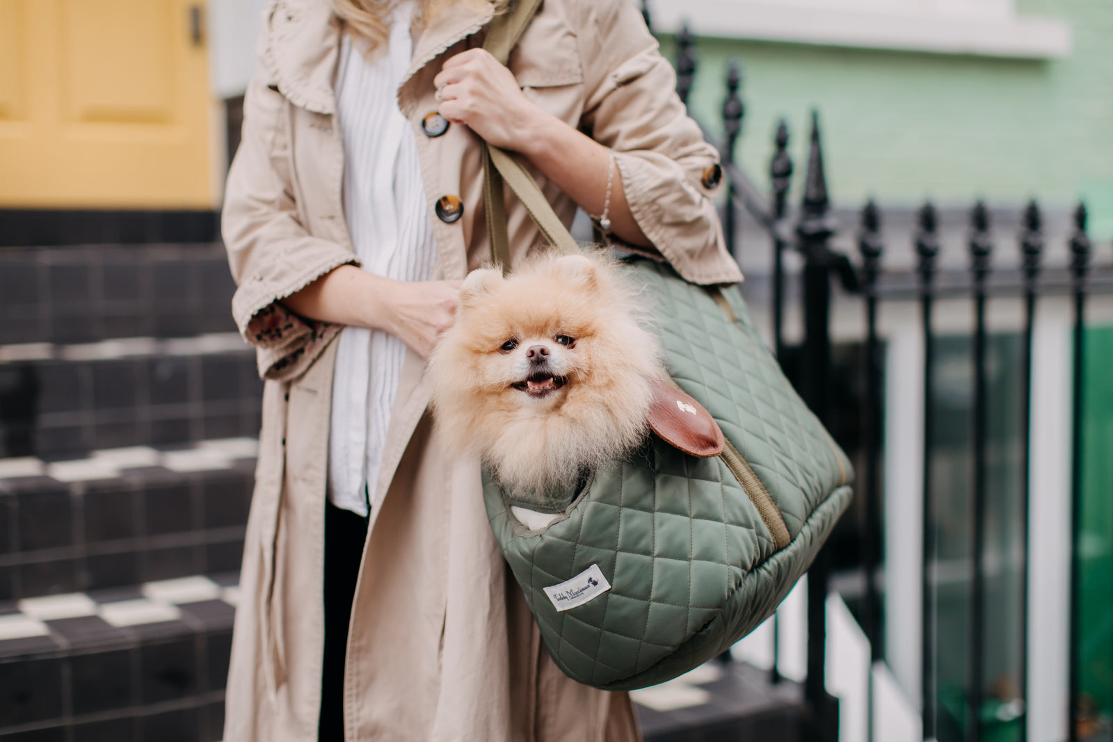 Pomeranian Dog Carriers