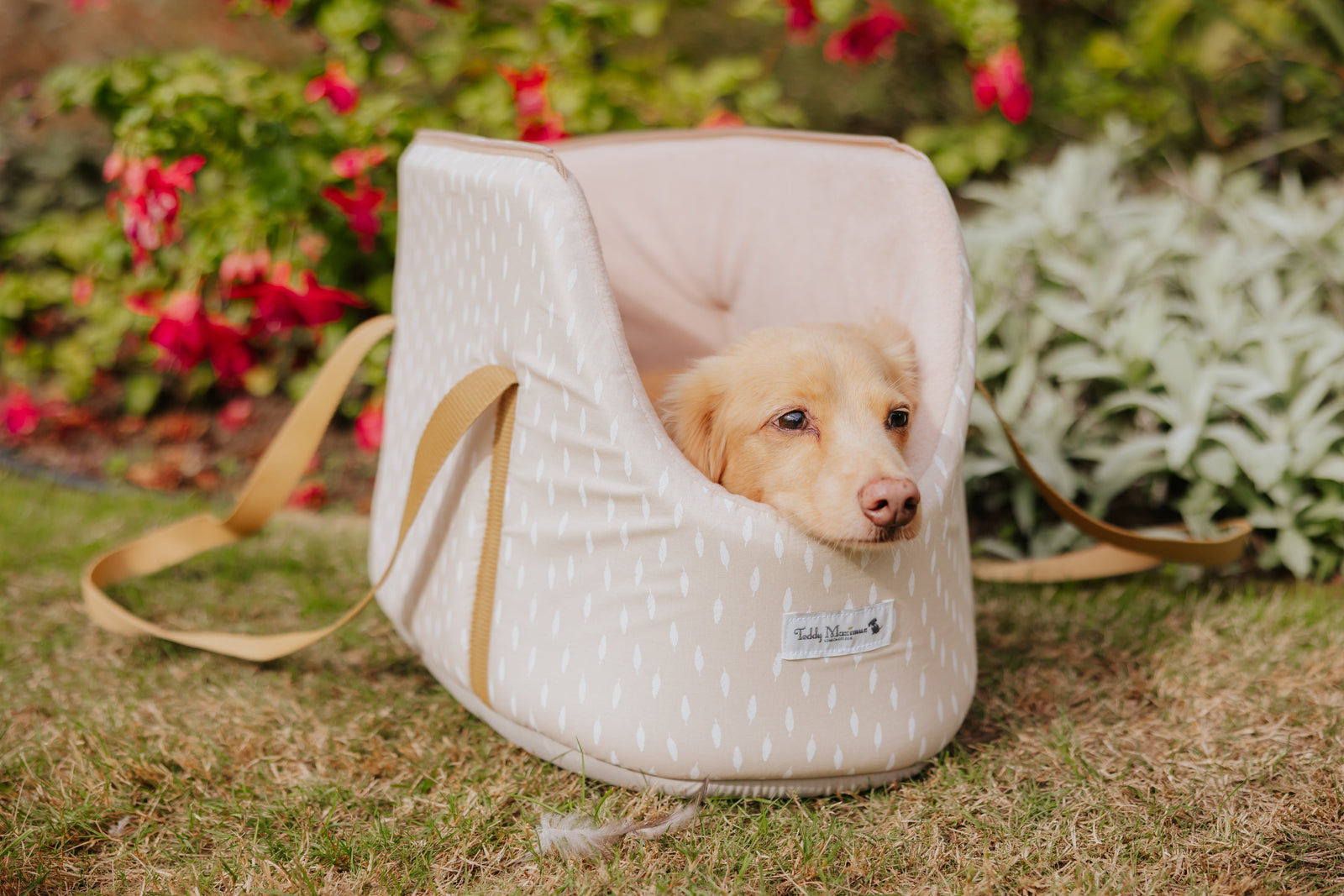 Dachshund Dog Carriers