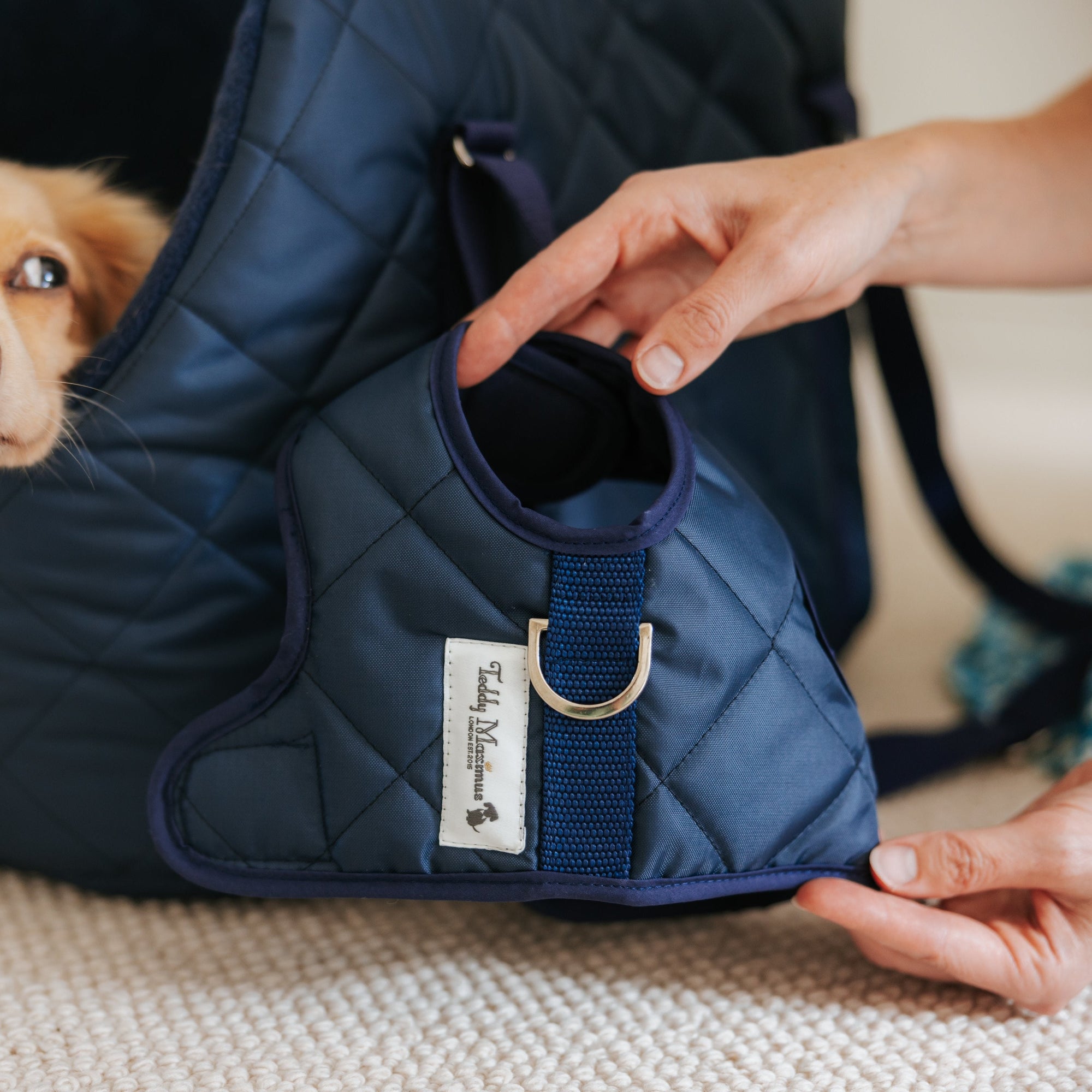 NEW! The Burford Navy Quilted Dog Harness