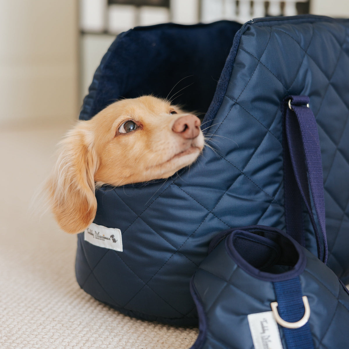 NEW! The Burford Navy Quilted Dog Carrier