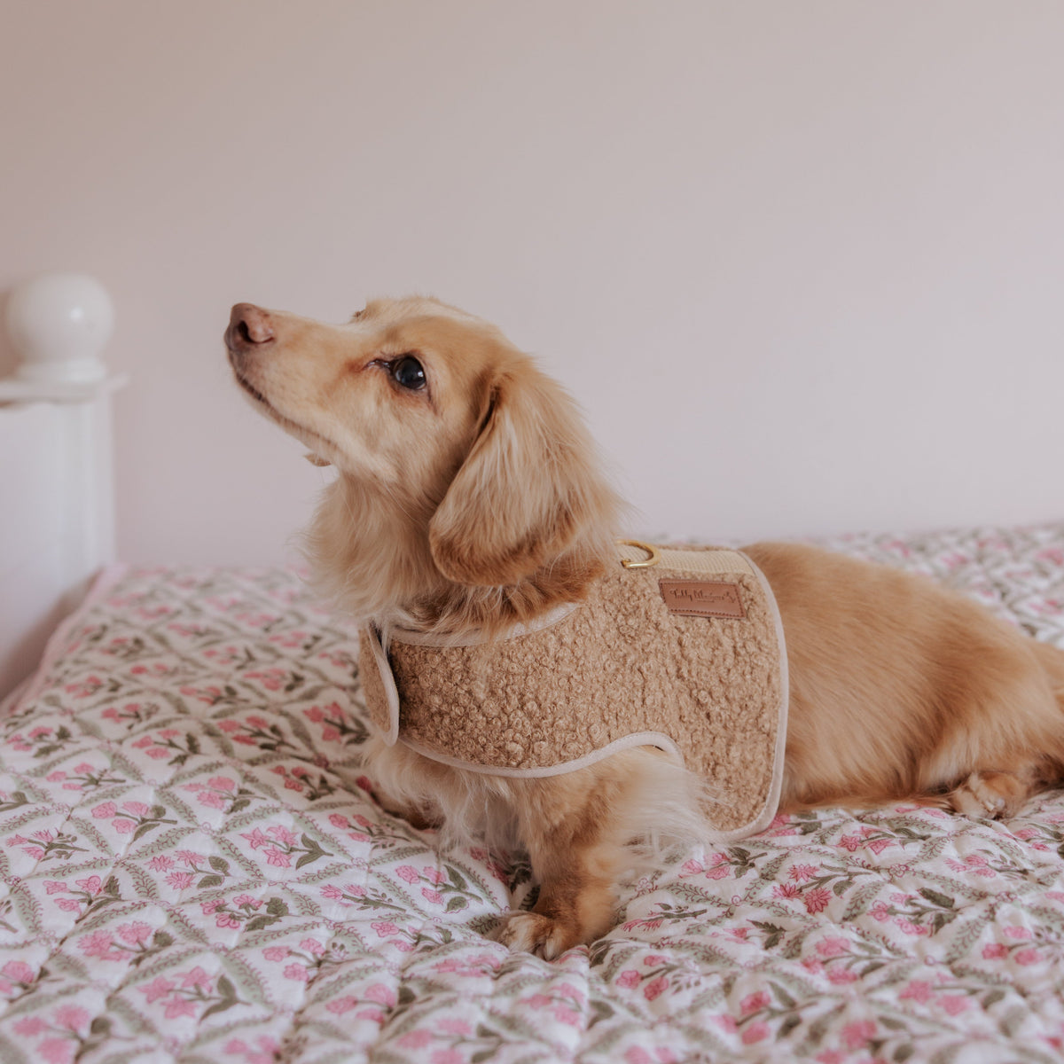 The Teddy Cappuccino Bouclé Luxury Dog Harness