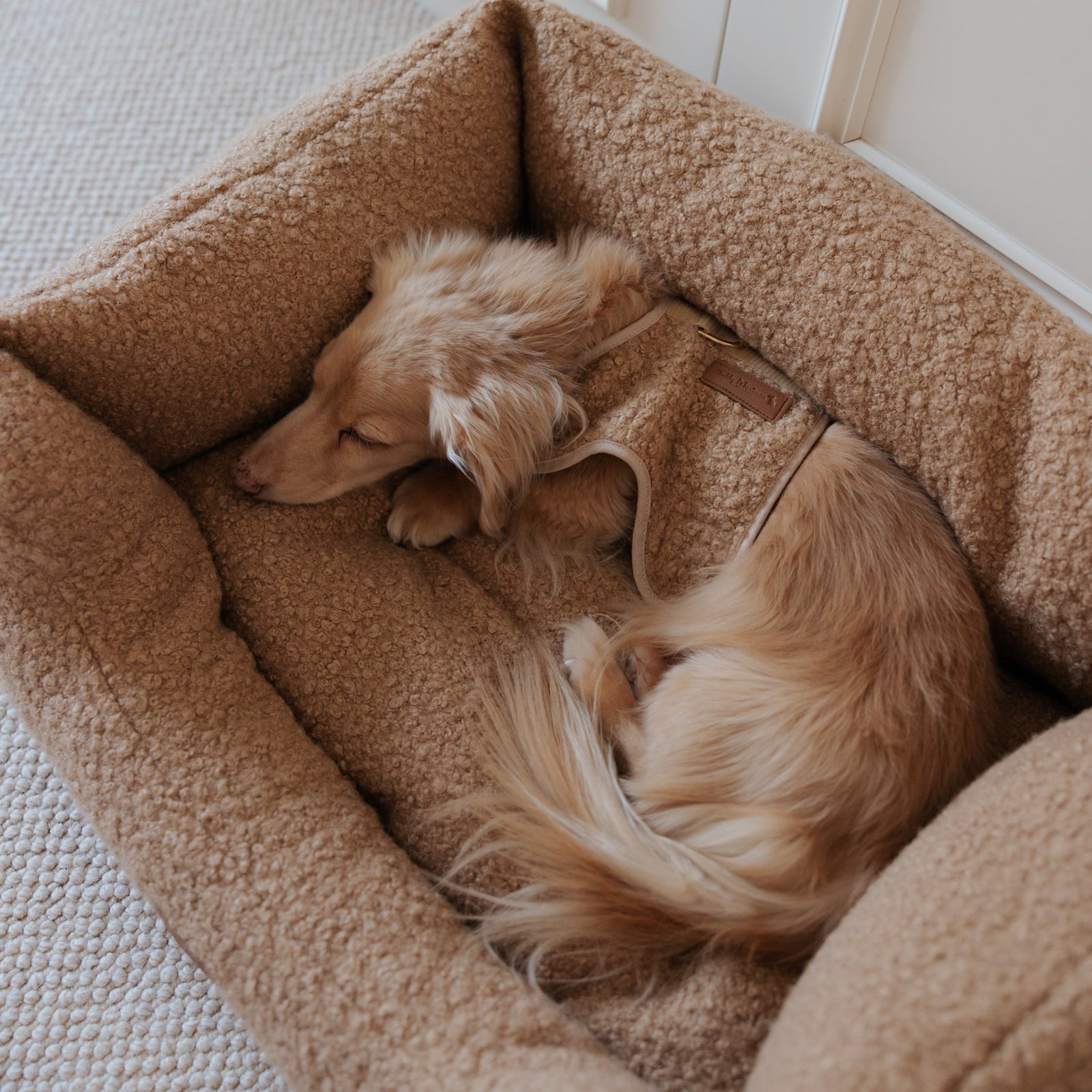 The Teddy Cappuccino Bouclé Rectangle Dog Bed