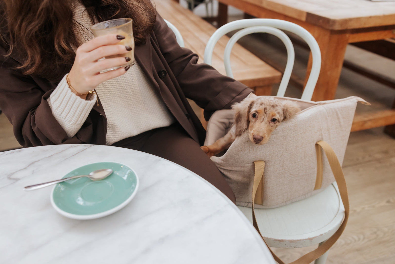 Person stroking a small dachshund in a  Teddy Maximus bag, sitting at a table with a plate and cup.