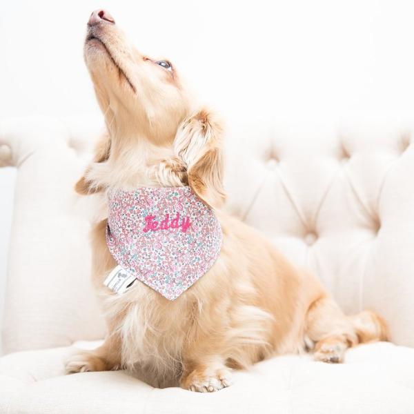 Rose Pink Liberty Print perro neckerchief