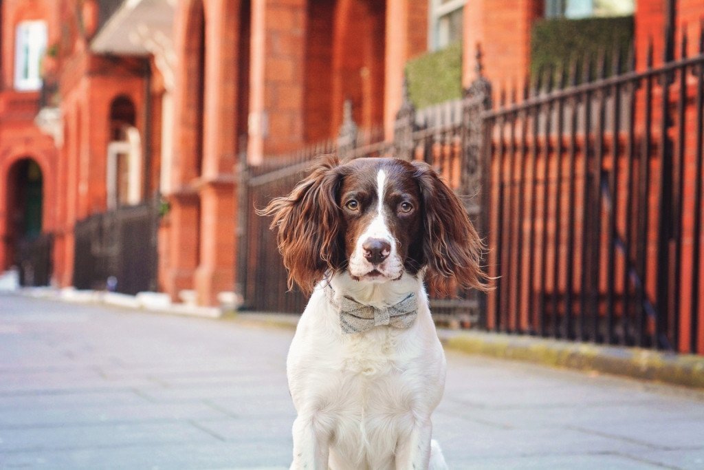 Behind the lens with Emma & Alfie