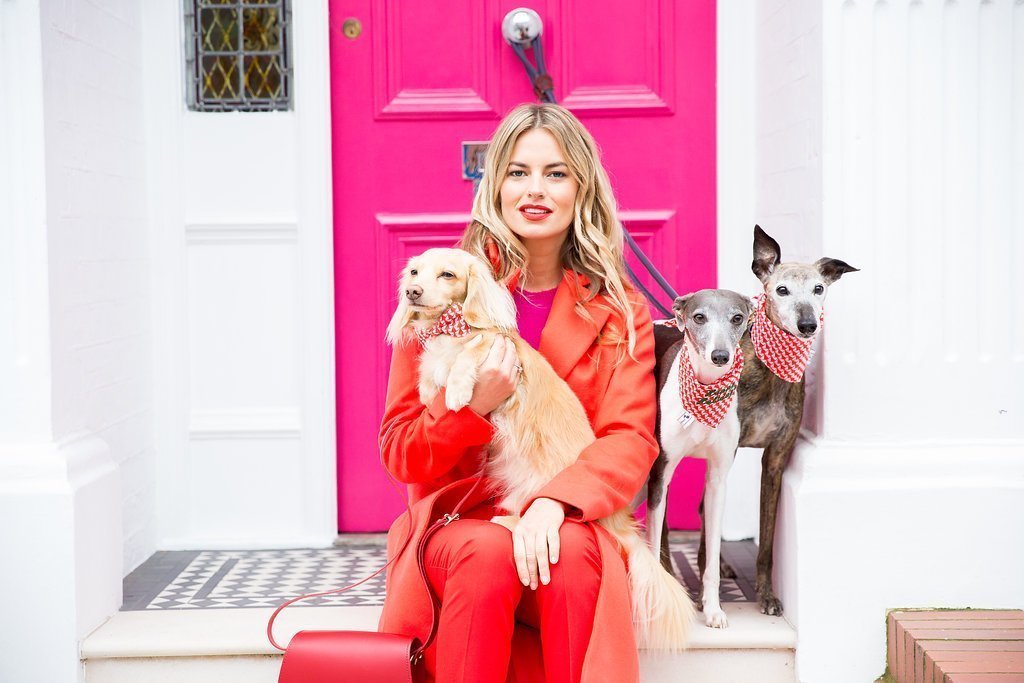 RED ALERT! Introducing Our New Collection...