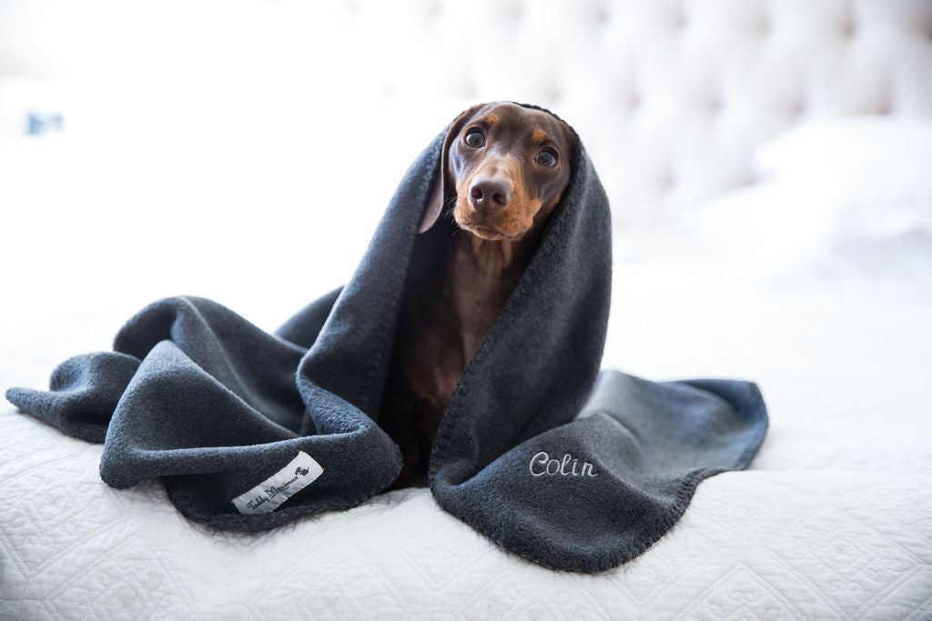 Personalised Dog Accessories