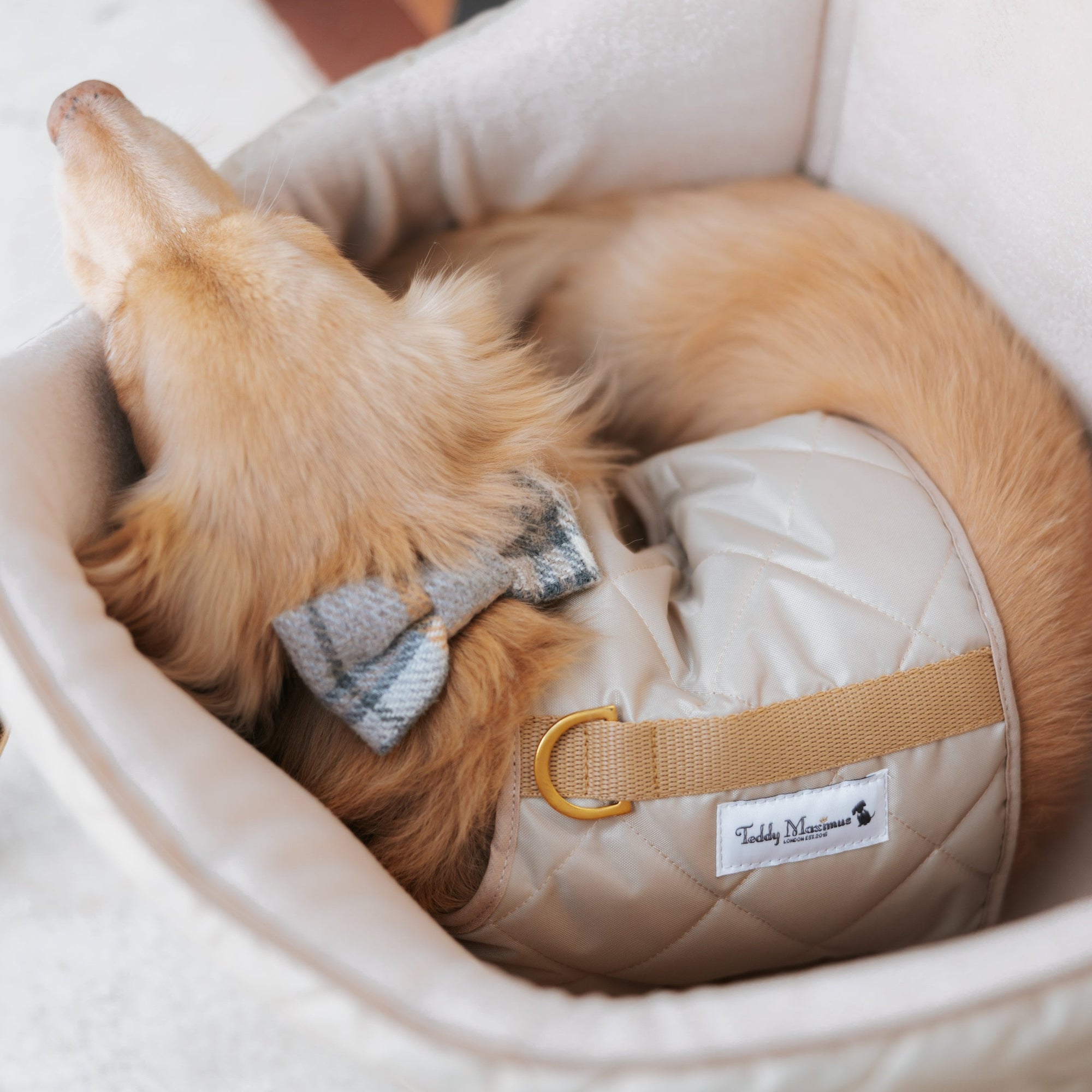 NEW! The Chelsea Champagne Quilted Dog Harness