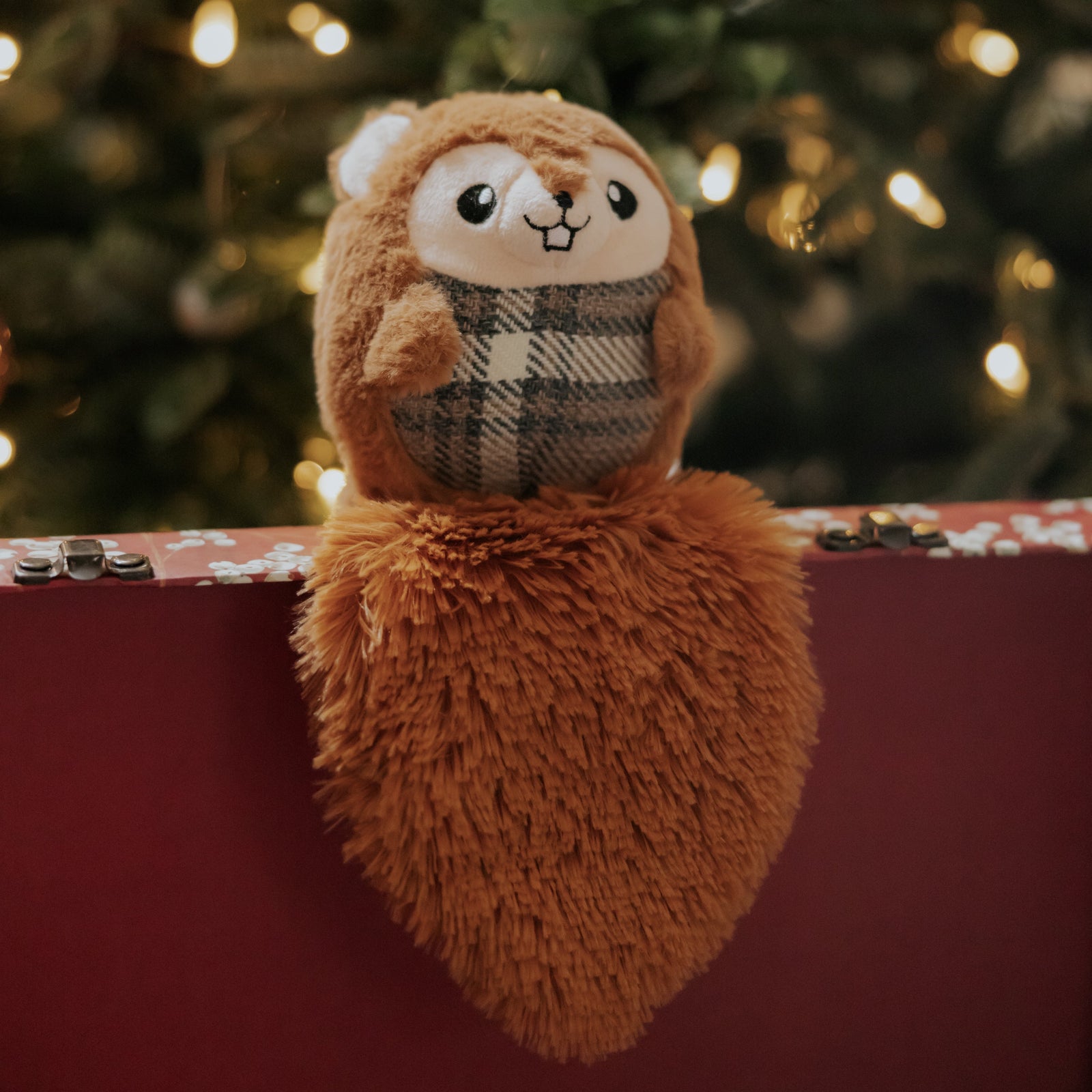 Sammy the Squirrel Squeeky Dog Toy
