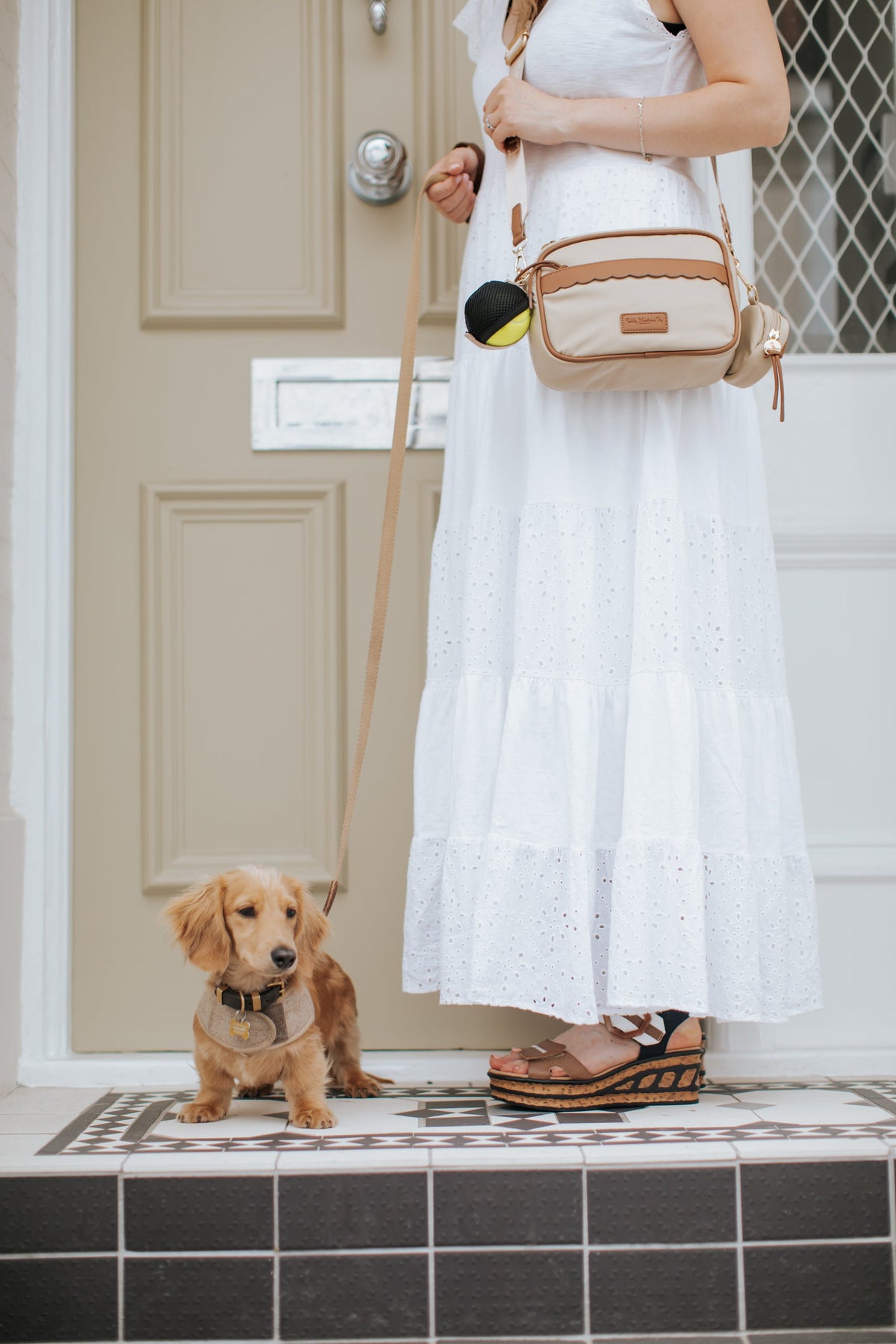 NEW! 'The Richmond' Luxury Dog Walking Bag