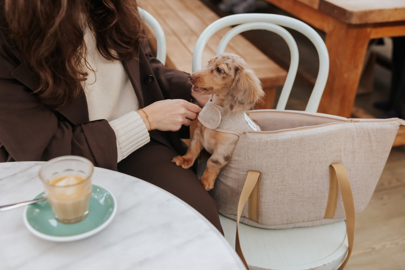 Miniature dachshund in a beige Teddy Maximus dog carrier on female owners lap