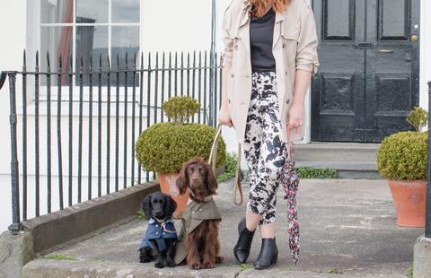 'Stephanie Dreams' road tests Teddy Maximus in Clifton