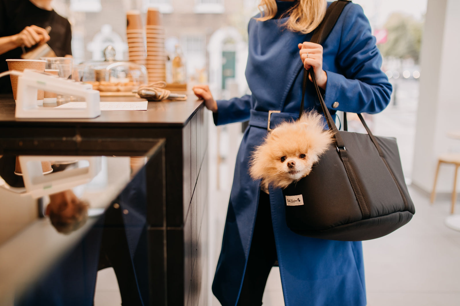 The Ultimate Guide to Choosing a Dog Carrier: Why Teddy Maximus Tops the List