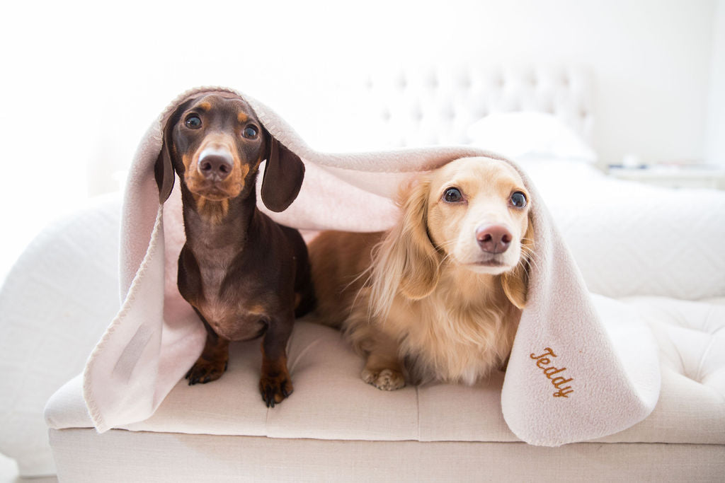 Personalised Dog Blankets