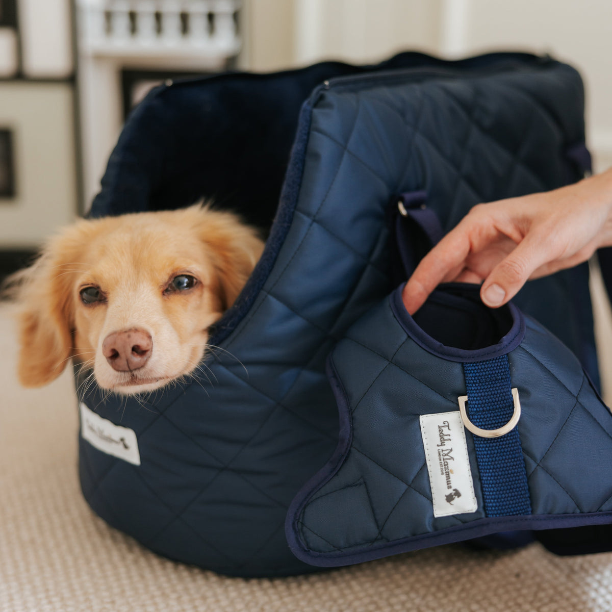 NEW! The Burford Navy Quilted Dog Carrier