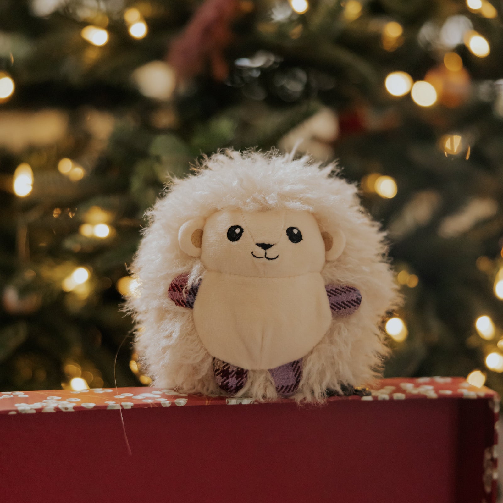 Hattie the Hedgehog Squeeky Dog Toy