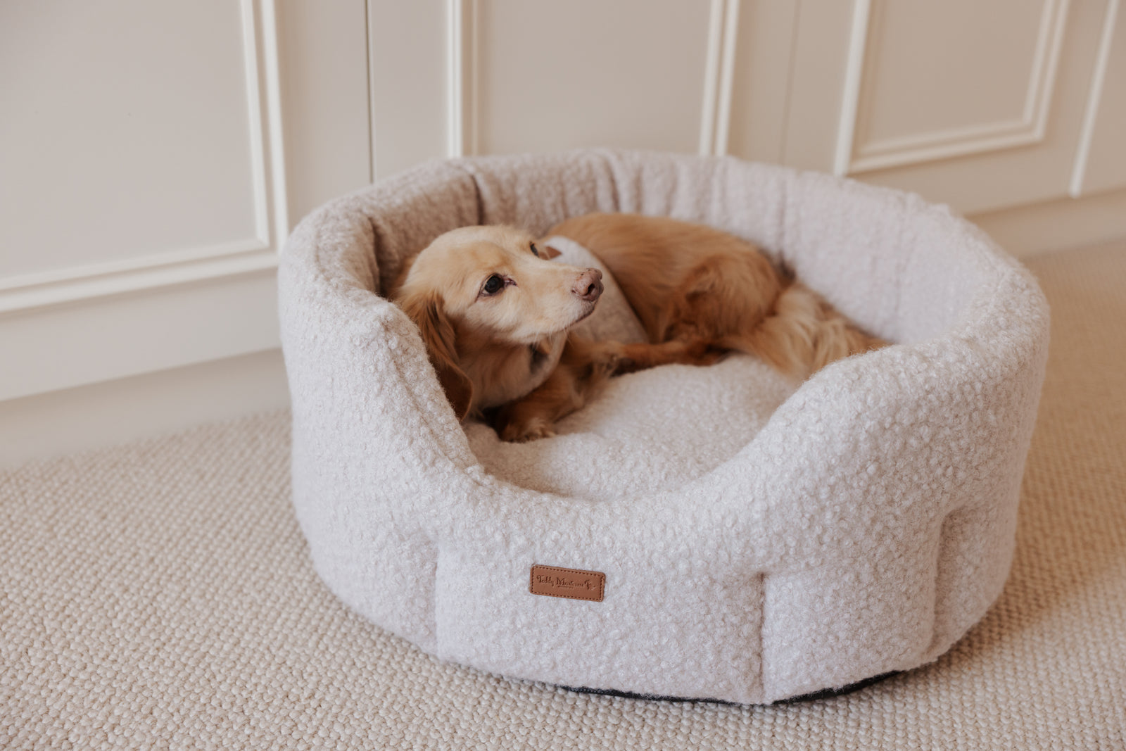 The Teddy Vanilla Latte Bouclé Nest Dog Bed