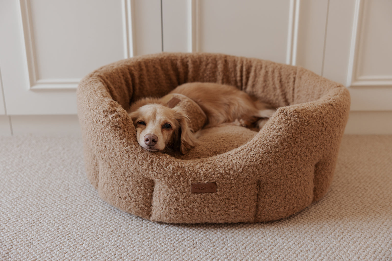 The Teddy Cappuccino Bouclé Nest Dog Bed