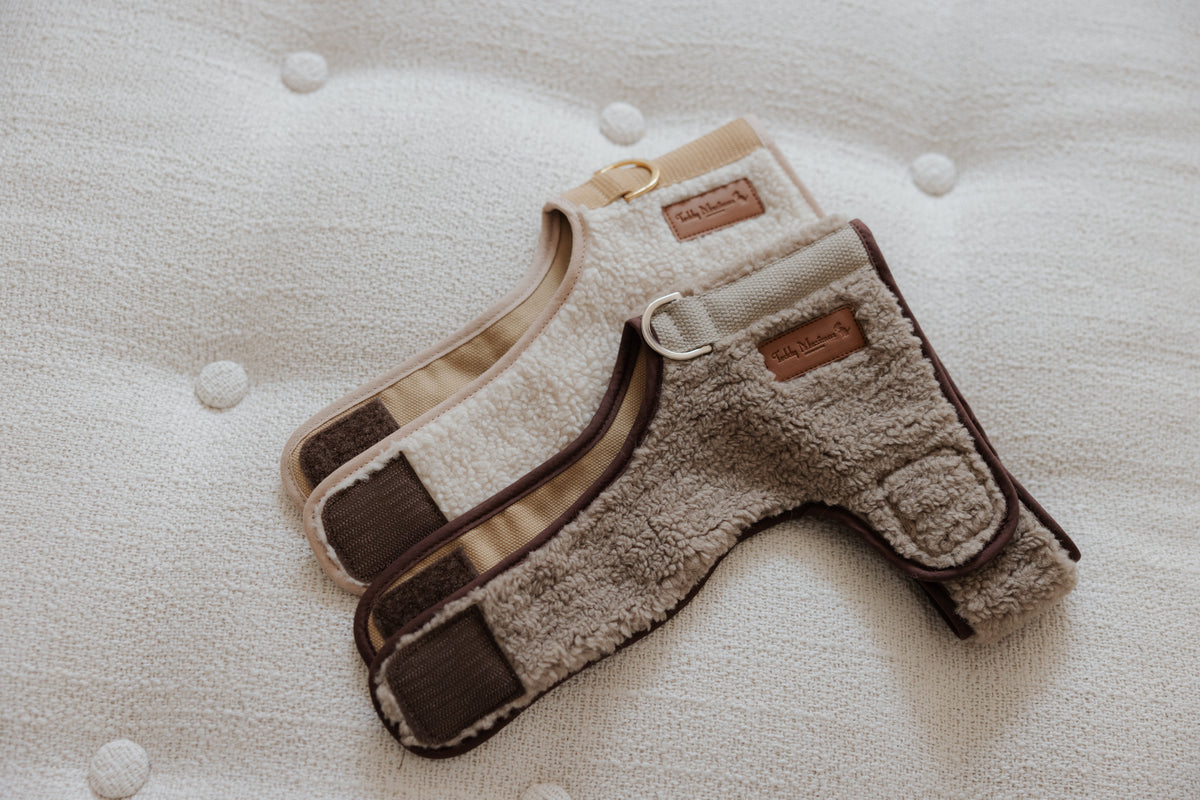 The Teddy Café Latte Sherpa Fleece Dog Harness