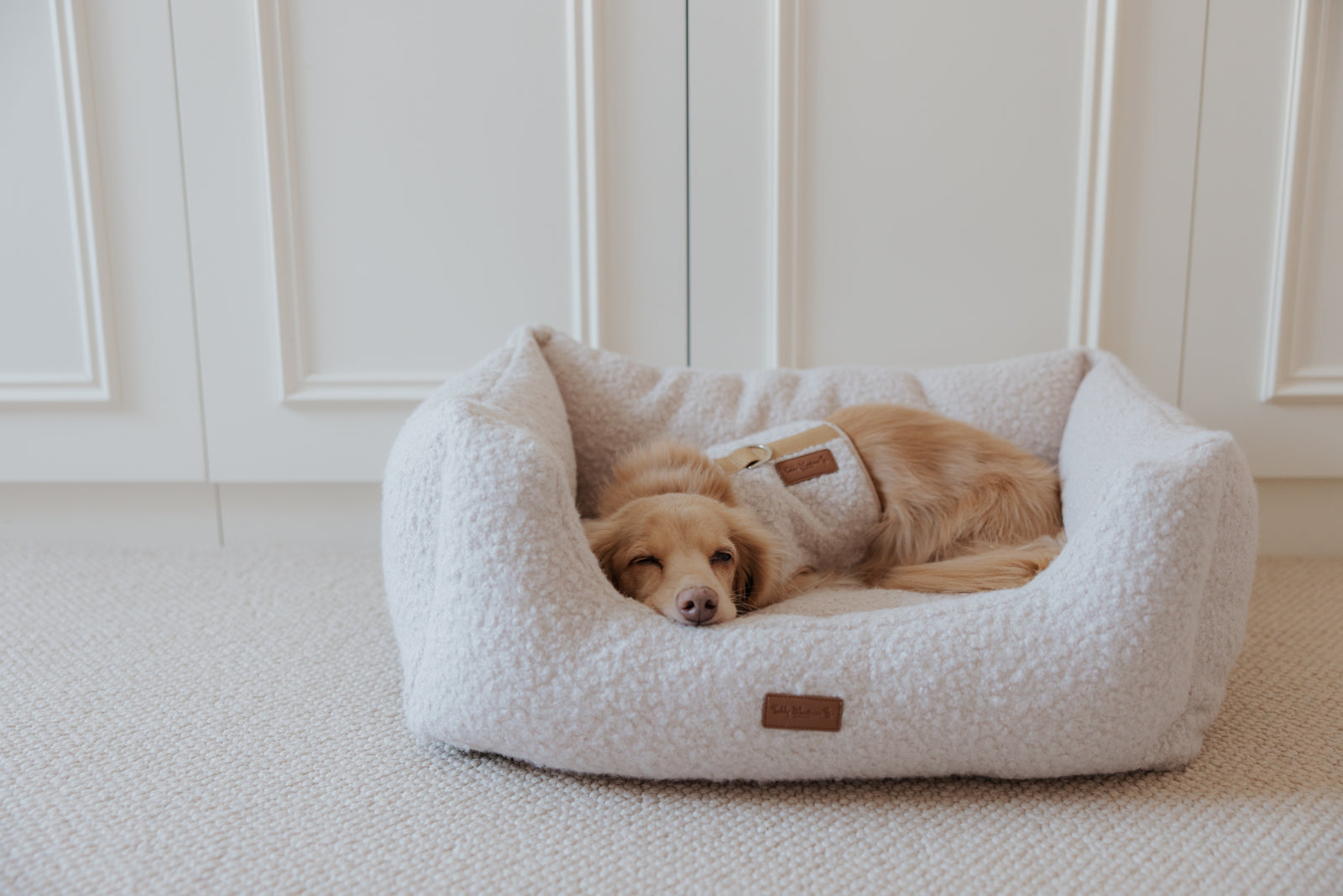The Teddy Vanilla Latte Bouclé Rectangle Dog Bed