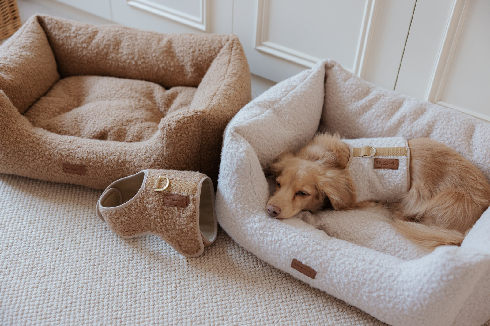The Teddy Cappuccino Bouclé Rectangle Dog Bed